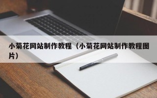 莘县小菊花网站制作教程（小菊花网站制作教程图片）